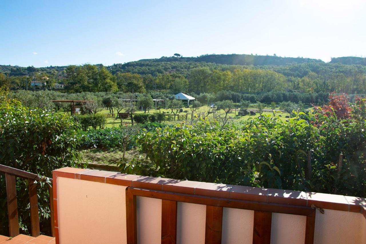 Iscairia Country House Ascea Bagian luar foto