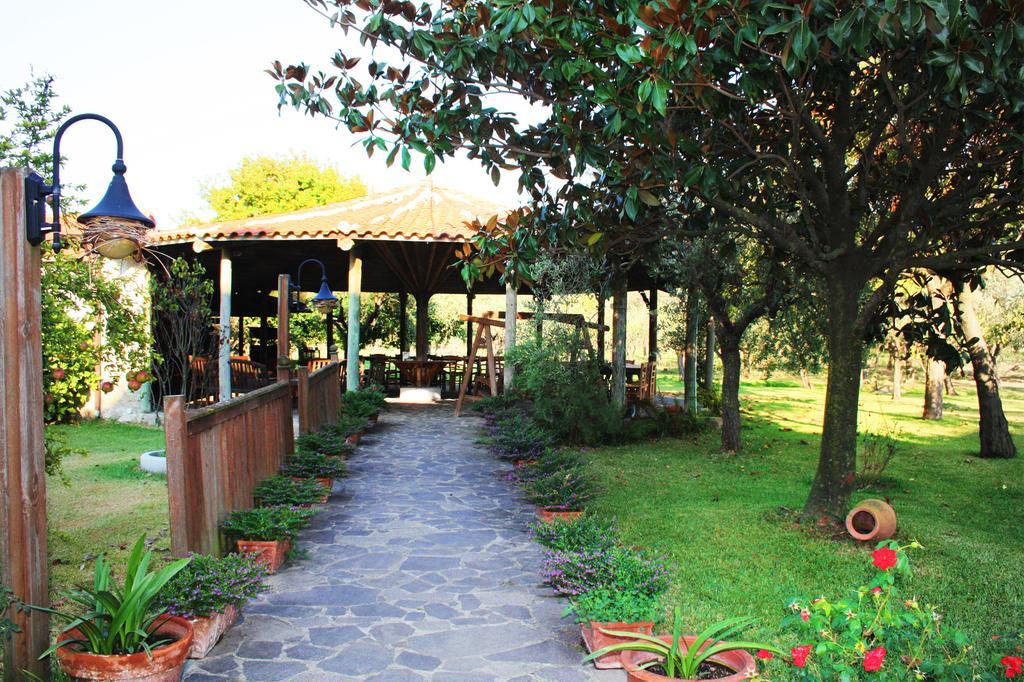 Iscairia Country House Ascea Bagian luar foto